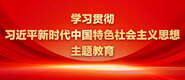 肏女人舒服学习贯彻习近平新时代中国特色社会主义思想主题教育_fororder_ad-371X160(2)